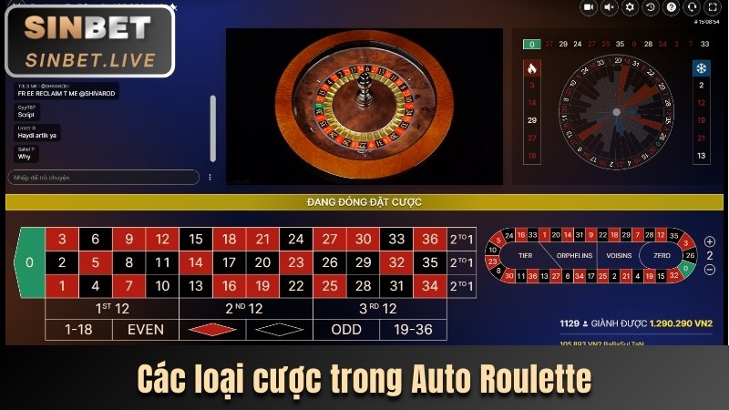 cac loai cuoc trong auto roulette