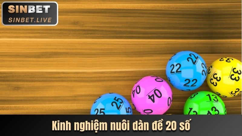 kinh nghiem nuoi dan de 20 so