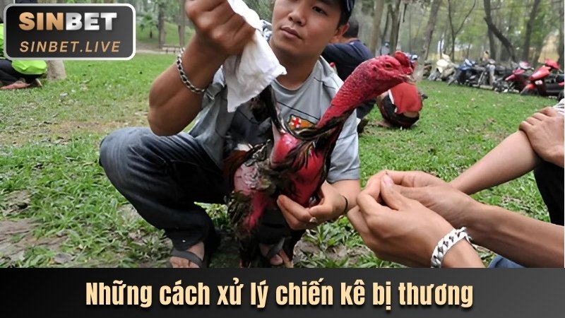 Đá Gà C1 - Dự Đoán Chính Xác Nhận Tiền Thưởng Giá Trị 3 nhung cach xu ly chien ke bi thuong