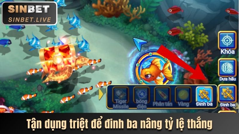 tan dung triet de dinh ba nang ty le thang