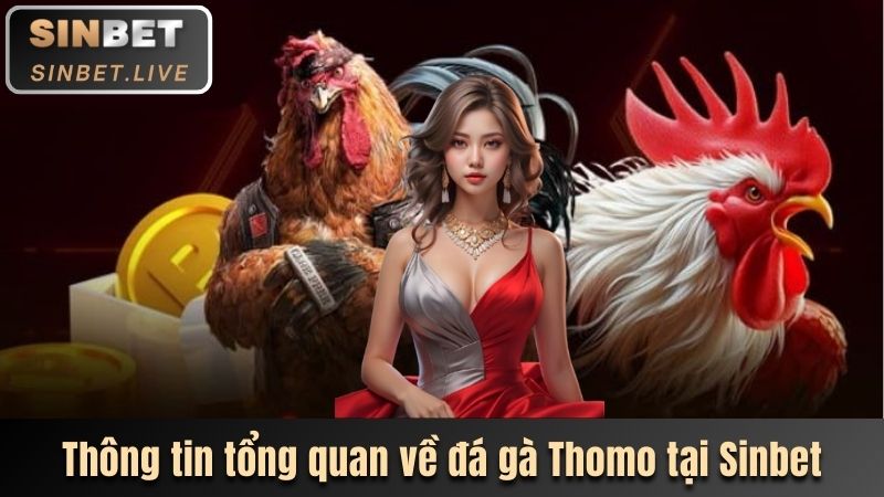 tong quan ve da ga thomo tren thi truong hien nay